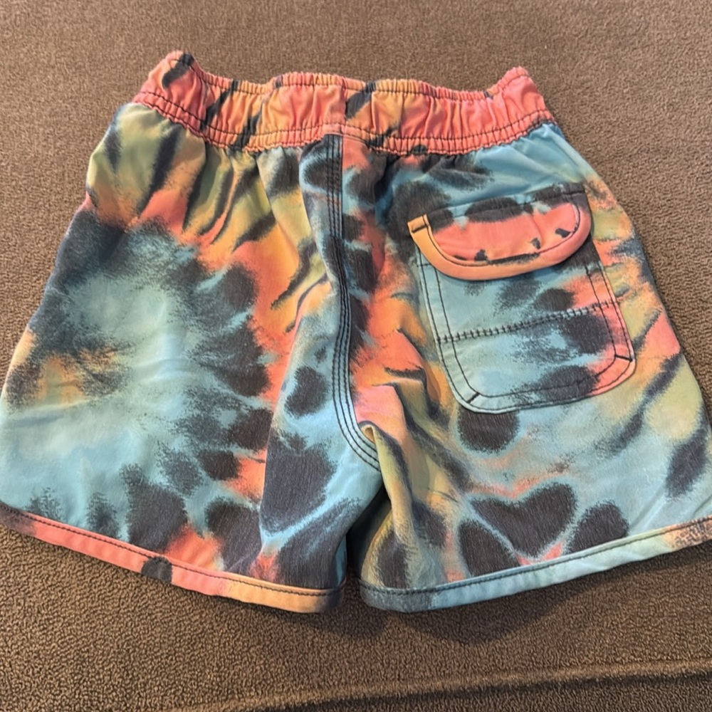 Boys Size Small Dolphin Cove Swim Trunks Elastic Waist (TD) - Picture 5 of 5